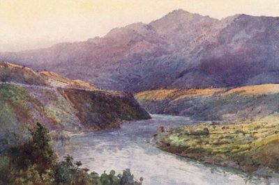 Új-Zéland: Wanganui felső folyásánál (színes litográfia) alkotó: Frank H Wright