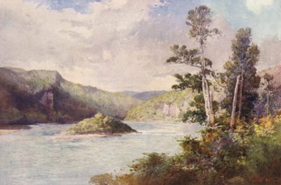Új-Zéland: White Cliffs, Buller River (színes litográfia) alkotó: Frank H Wright