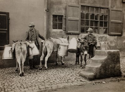 Tejszamarak, c. 1890. alkotó: Frank Meadow Sutcliffe