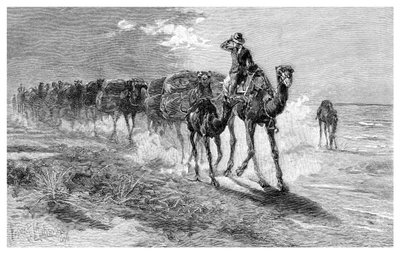 Gyapjút hordozó tevék, 1886. alkotó: Frank P. Mahony
