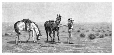 Semmi sem látható, 1886. alkotó: Frank P. Mahony