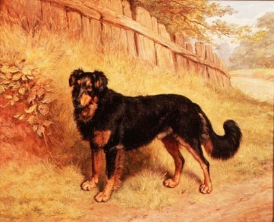 Border collie alkotó: Frank Paton