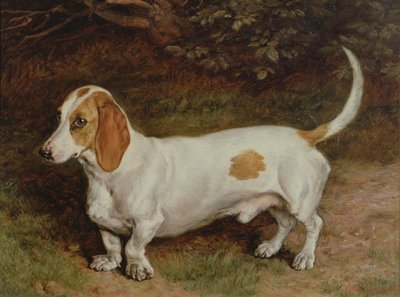Kedvenc tacskóm, 1885 alkotó: Frank Paton