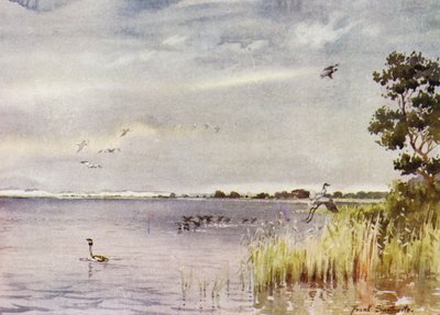 Norfolk Broads: Horsey Mere alkotó: Frank Southgate