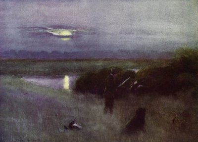 Norfolk Broads: Holdkelte, repülés közben (színes litho) alkotó: Frank Southgate