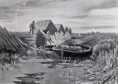 Norfolk Broads: Reed Stacking (litho) alkotó: Frank Southgate