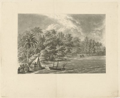 Trópusi táj alkotó: François Joseph Pfeiffer (II)