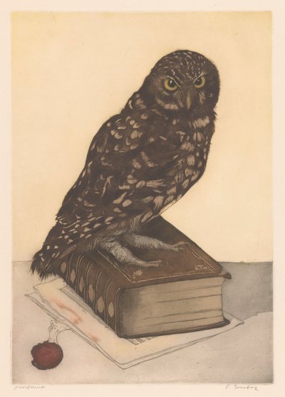 Bagoly ül egy könyvet alkotó: Frans Everbag (signed by artist)