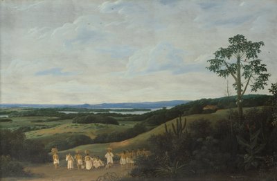 Egy brazil tájkép alkotó: Frans Post