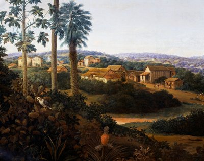 Serinhaem falu Brazíliában vagy egy cukornádültető otthona Brazíliában (olaj, vászon) alkotó: Frans Post