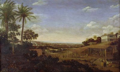 Ismeretlen kép alkotó: Frans Post