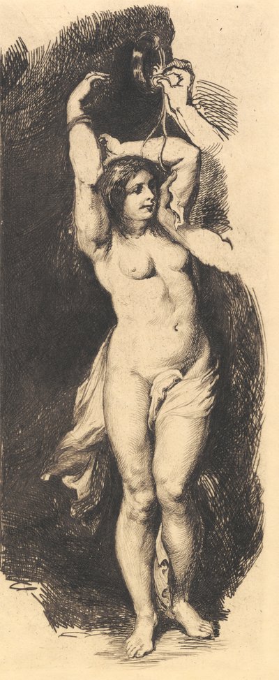 Andromeda, Rubens után alkotó: Frans Schwartz