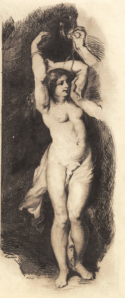 Andromeda, Rubens után alkotó: Frans Schwartz
