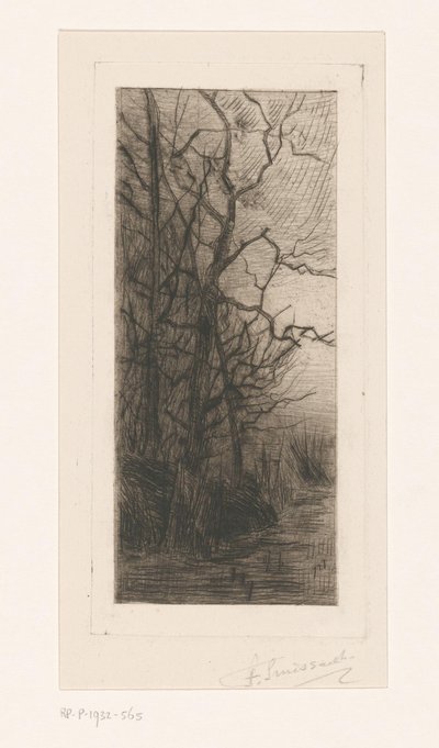 Fák a víz mellett alkotó: Frans Smissaert (signed by artist)
