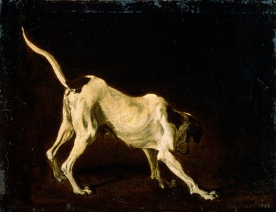 Egy kutya, 17. század alkotó: Frans Snyders or Snijders