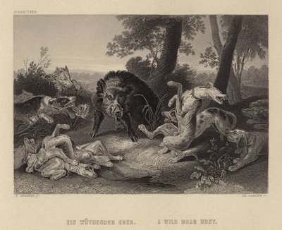 Vaddisznó vadászat alkotó: Frans Snyders or Snijders