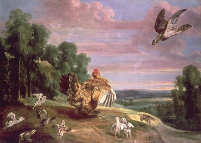 A Sólyom és a Tyúk alkotó: Frans Snyders or Snijders