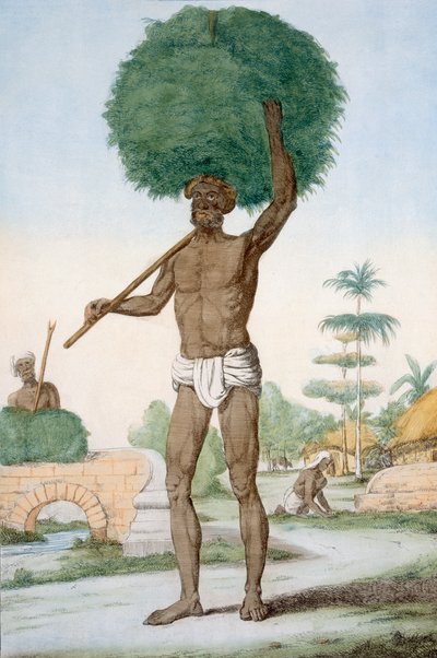 Füvet nyíró hindu szolga, „A hinduk, avagy viselkedésük, jelmezeik és szertartásaik leírása”, 1808–1812 (színes rézkarc) alkotó: Franz Balthazar Solvyns