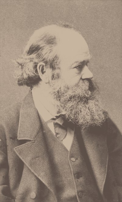 Robert von Hornstein zeneszerző portréja 1833-1890. alkotó: Franz Hanfstaengl