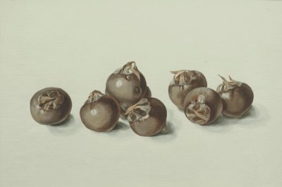Medlarfrüchte alkotó: Franz Horny