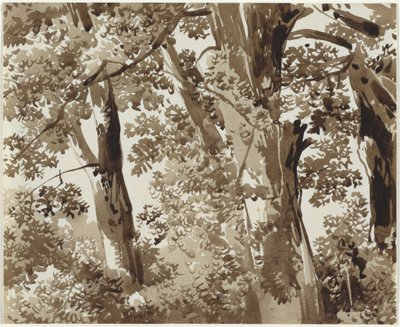 Sűrű aljnövényzetű fák alkotó: Franz Innocenz Josef Kobell