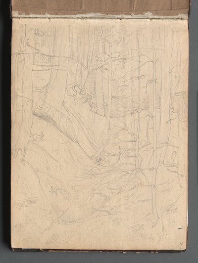 Album Róma és környéke kilátásaival, Tájtanulmányok, 01a. oldal: Római táj. alkotó: Franz Johann Heinrich Nadorp