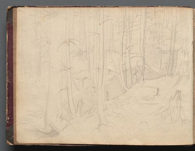 Album Róma és környéke nézeteivel, Tájképek, 01b. oldal: Római táj alkotó: Franz Johann Heinrich Nadorp