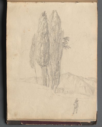 Album Róma és környéke kilátással, Tájtanulmányok, 20a oldal: Fák alkotó: Franz Johann Heinrich Nadorp