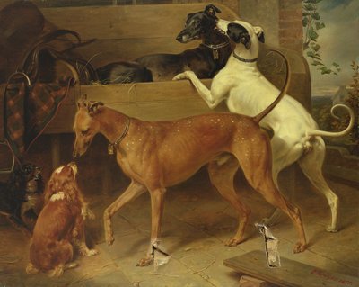 Krugers Dogs, 1855 alkotó: Franz Krüger