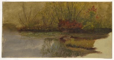 Egy tó sarka alkotó: Frederic Edwin Church