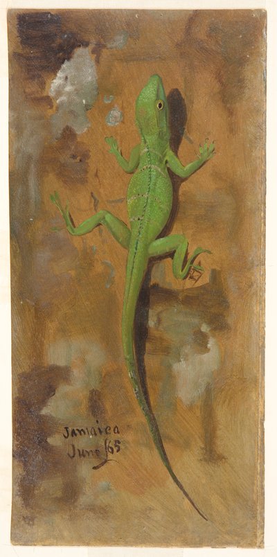 Egy gyík, Jamaica alkotó: Frederic Edwin Church