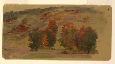 Őszi táj alkotó: Frederic Edwin Church