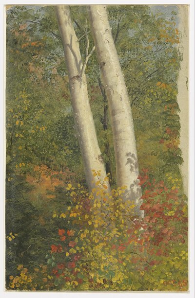 Nyírfák ősszel alkotó: Frederic Edwin Church