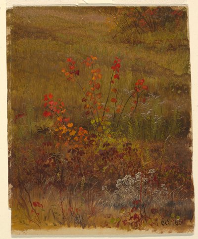 Botanikai Tanulmányok alkotó: Frederic Edwin Church