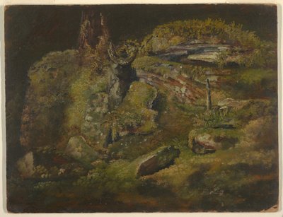 Boulder az erdőben alkotó: Frederic Edwin Church