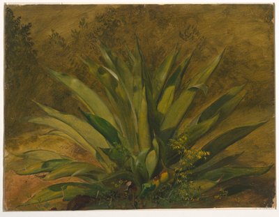 századi üzem alkotó: Frederic Edwin Church