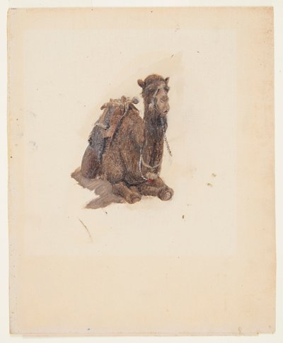 Guggoló dromedár alkotó: Frederic Edwin Church