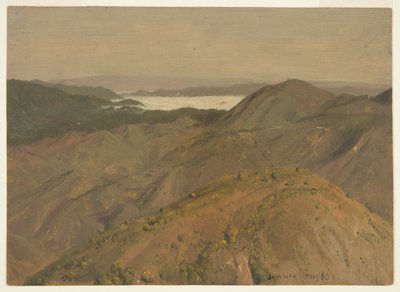 Távoli kilátás a dombtetőkre, Jamaica, Nyugat-India alkotó: Frederic Edwin Church