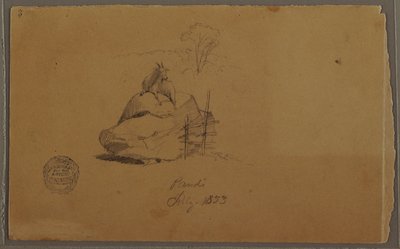 Rajz, Egy kecske Pándiban, Kolumbia, 1853. július alkotó: Frederic Edwin Church