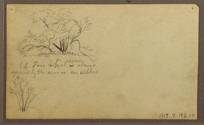 Rajz, A Hut on Posts, Guayaquil, Ecuador, 1857. május alkotó: Frederic Edwin Church