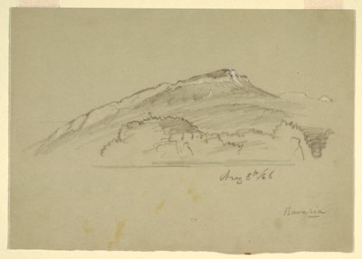 Rajz, Egy fa, Bajorország, 1868. augusztus 8. alkotó: Frederic Edwin Church