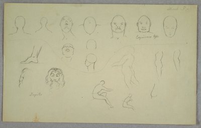 Rajz, anatómiai tanulmányok, 1865-70 alkotó: Frederic Edwin Church