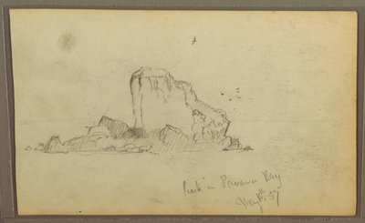 Rajz, Bireds, "Szikla a Panama-öbölben"; hátoldal: "Nehéz indák", 1857. május 15. alkotó: Frederic Edwin Church