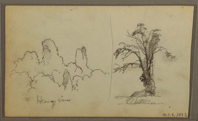 Rajz, Bireds, "Szikla a Panama-öbölben"; hátoldal: "Nehéz indák", 1857. május 15. alkotó: Frederic Edwin Church