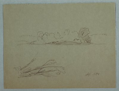 Rajz, Botanikai vázlatok: tájkép, fák a parton, 1876. szeptember alkotó: Frederic Edwin Church
