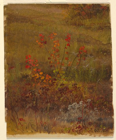 Rajz, Botanikai tanulmányok, 1865. október alkotó: Frederic Edwin Church