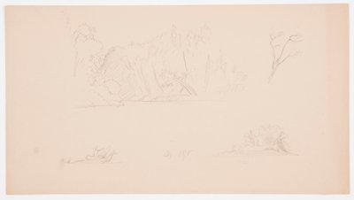 Rajz, Botanikai vázlatok: fa, fák a parton, 1876. szeptember alkotó: Frederic Edwin Church
