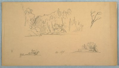 Rajz, Botanikai vázlatok: fa, fák a parton, 1876. szeptember alkotó: Frederic Edwin Church