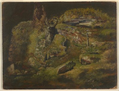 Rajz, Szikla az erdőben, 1845 körül. alkotó: Frederic Edwin Church