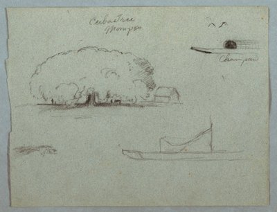 Rajz, Ceiba fa Momposnál, Champan kenu, fák és egy részleges csónak, Rio Magdelena, Kolumbia, 1853, valószínűleg május alkotó: Frederic Edwin Church